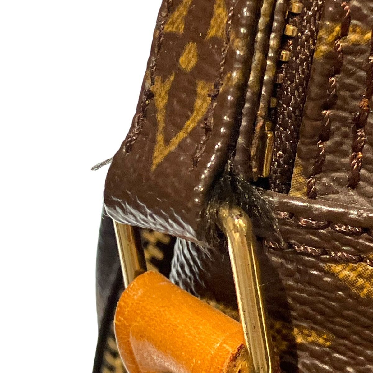 Louis Vuitton Amazon Monogram Line Shoulder Bag Canvas — view 6