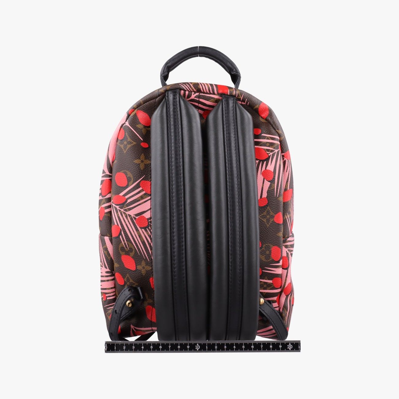Louis Vuitton Palm Springs PM Brown Sugar Pink Poppy Monogram Jungle — view 2