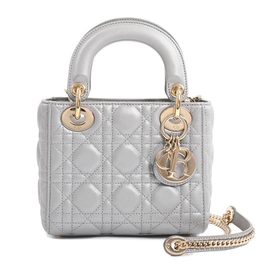 Dior Handbag Gray