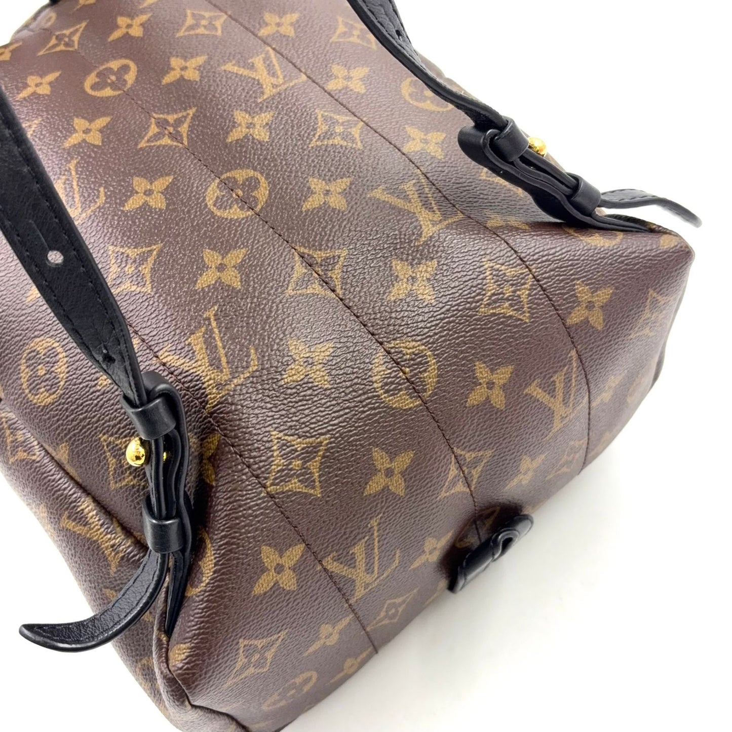 Louis Vuitton Palm Springs PM Monogram Leather Brown Black Backpack Gold — view 7