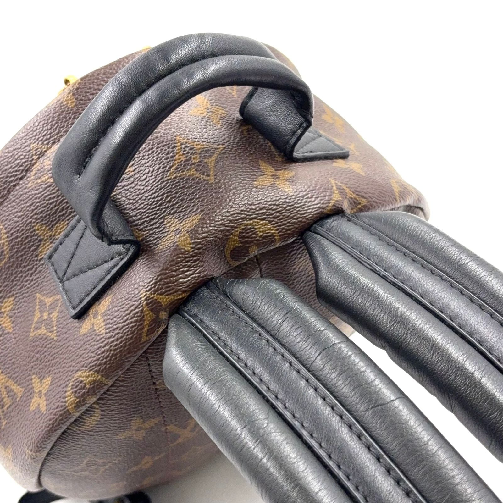 Louis Vuitton Palm Springs PM Monogram Leather Brown Black Backpack Gold — view 5