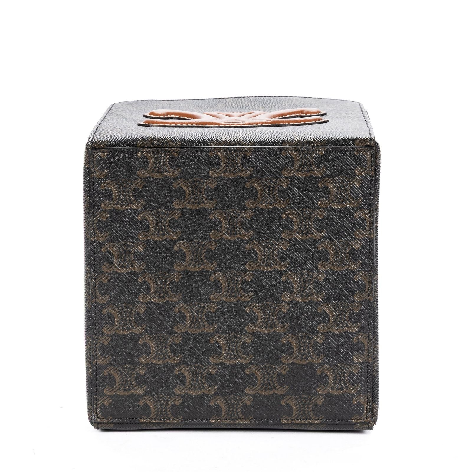 Celine Snap Box Darkbrown Tantriomphe Canvas Handbag — view 6