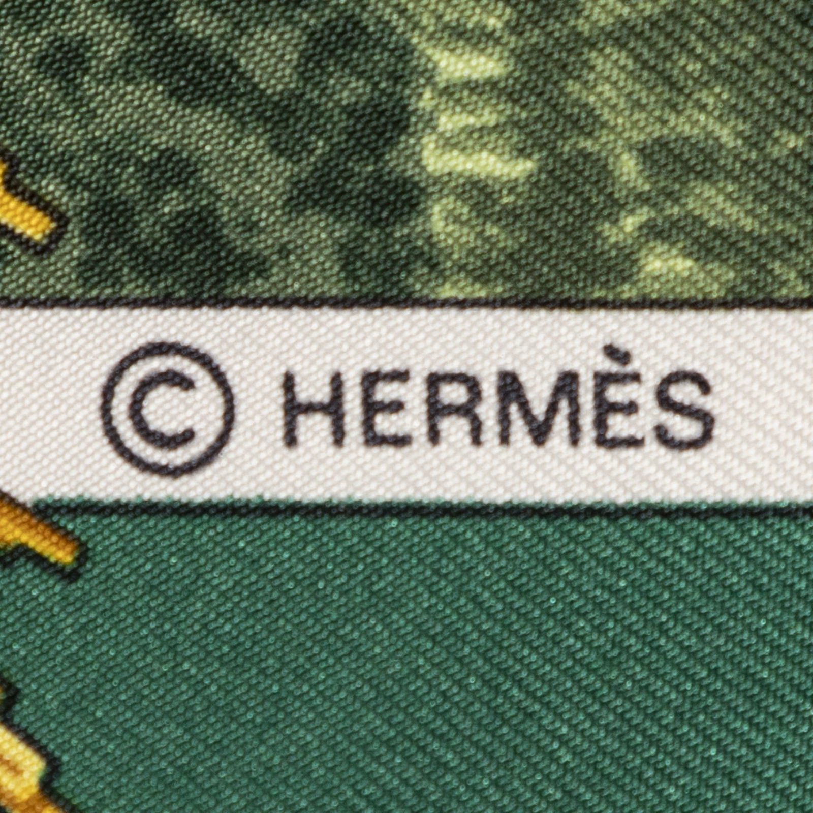 Hermes Scarf Green Beige 100% Twillsilk — view 4
