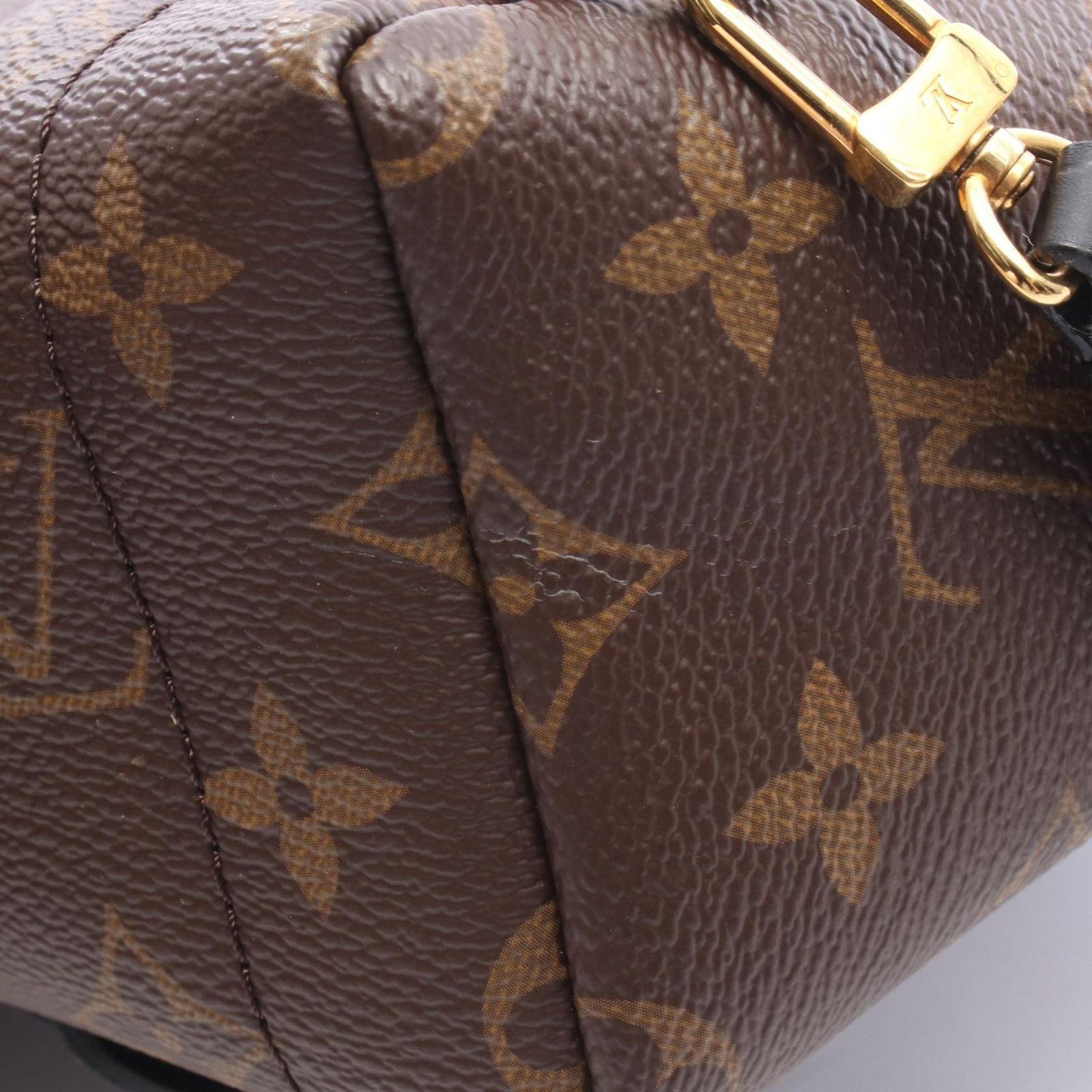 Louis Vuitton Backpack Palm Springs Mini Canvas Leather — view 8