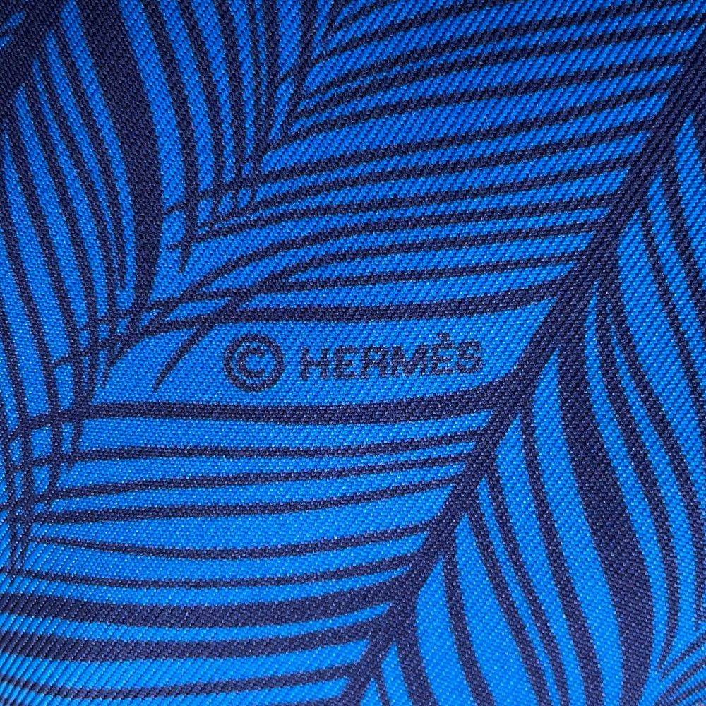 Hermes Scarf Maxi Twillie Zebra Pegasus Shawl — view 6