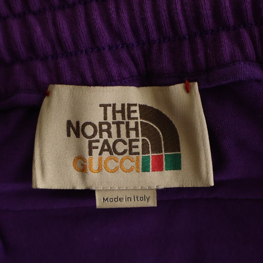Gucci North Face Sweatpants — view 6