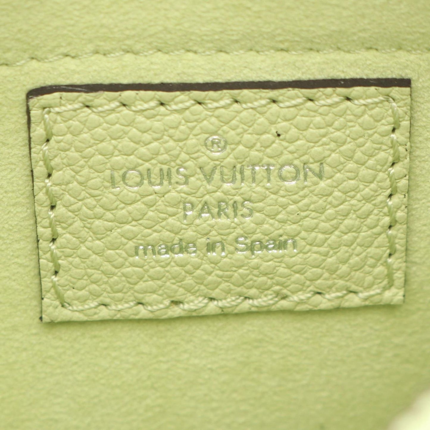 Louis Vuitton Marais Rini 2-Way Light Green Leather Bucket Bag — view 4