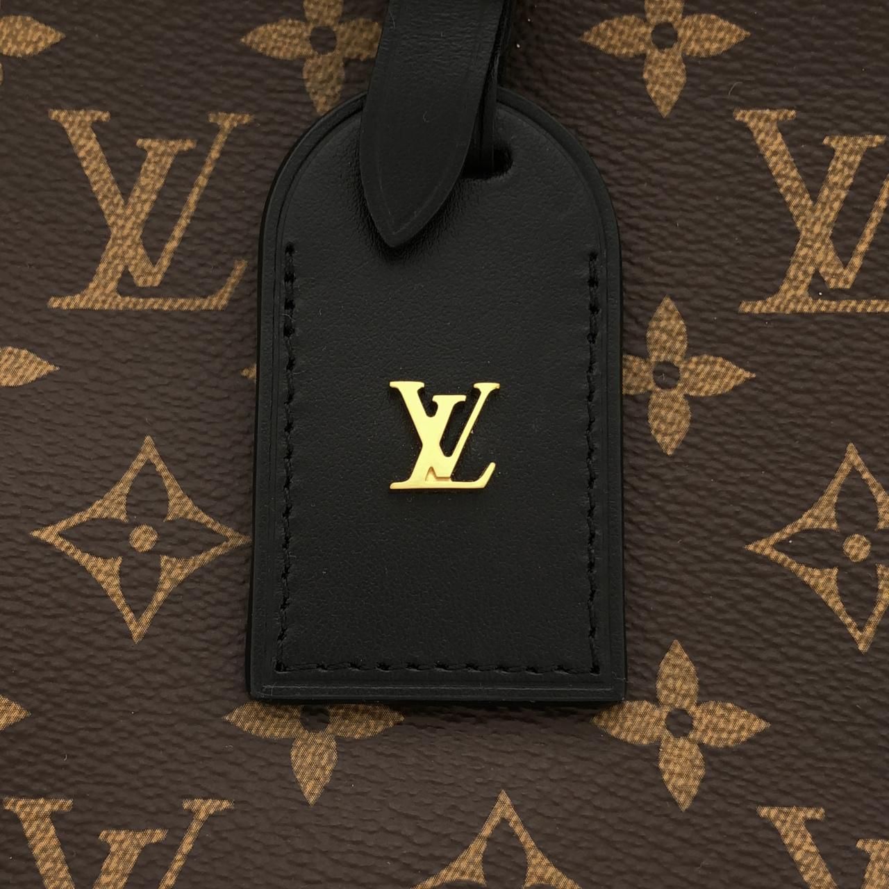Louis Vuitton Monogram Odeon PM Shoulder Bag — view 5
