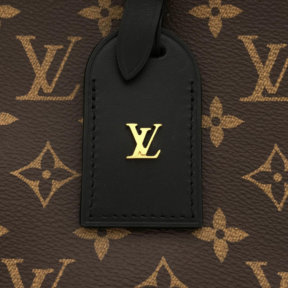 Louis Vuitton Monogram Odeon PM Shoulder Bag — view 5
