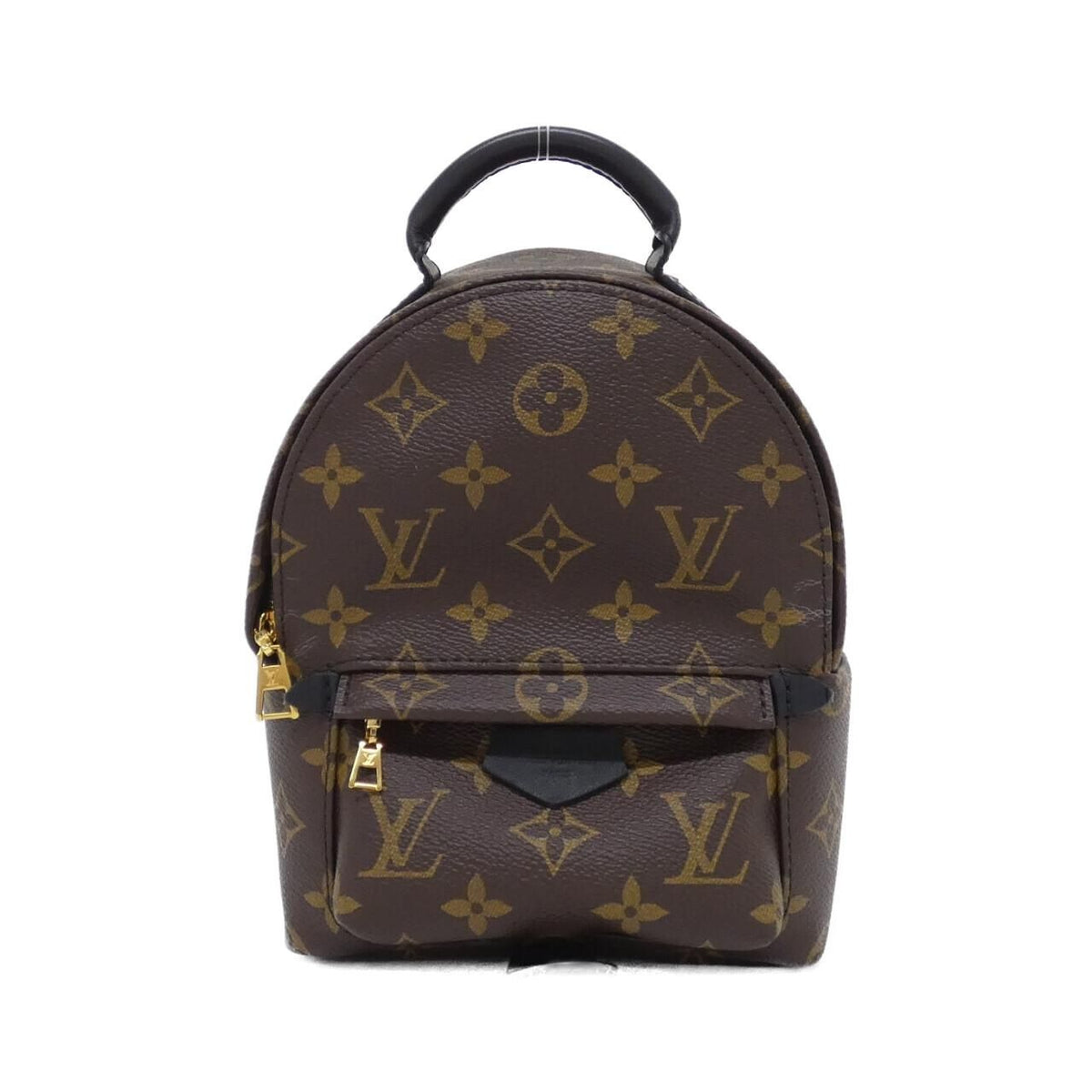 Louis Vuitton Monogram Palm Spring Backpack Mini