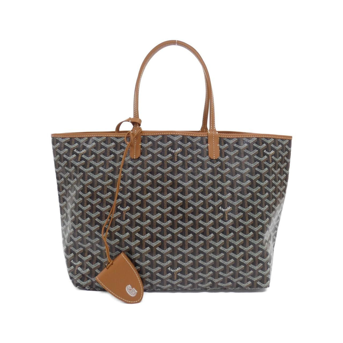Goyard Saint Louis PM Ama Bag