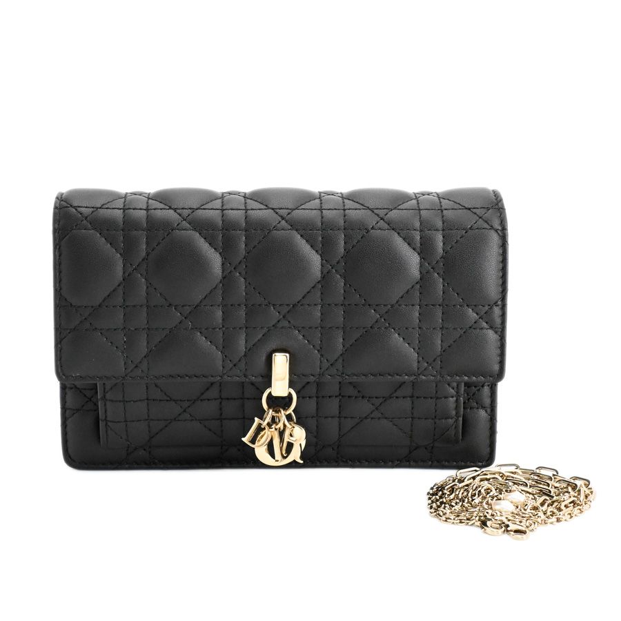 Dior Chain Wallet Mydior Daily Pouch
