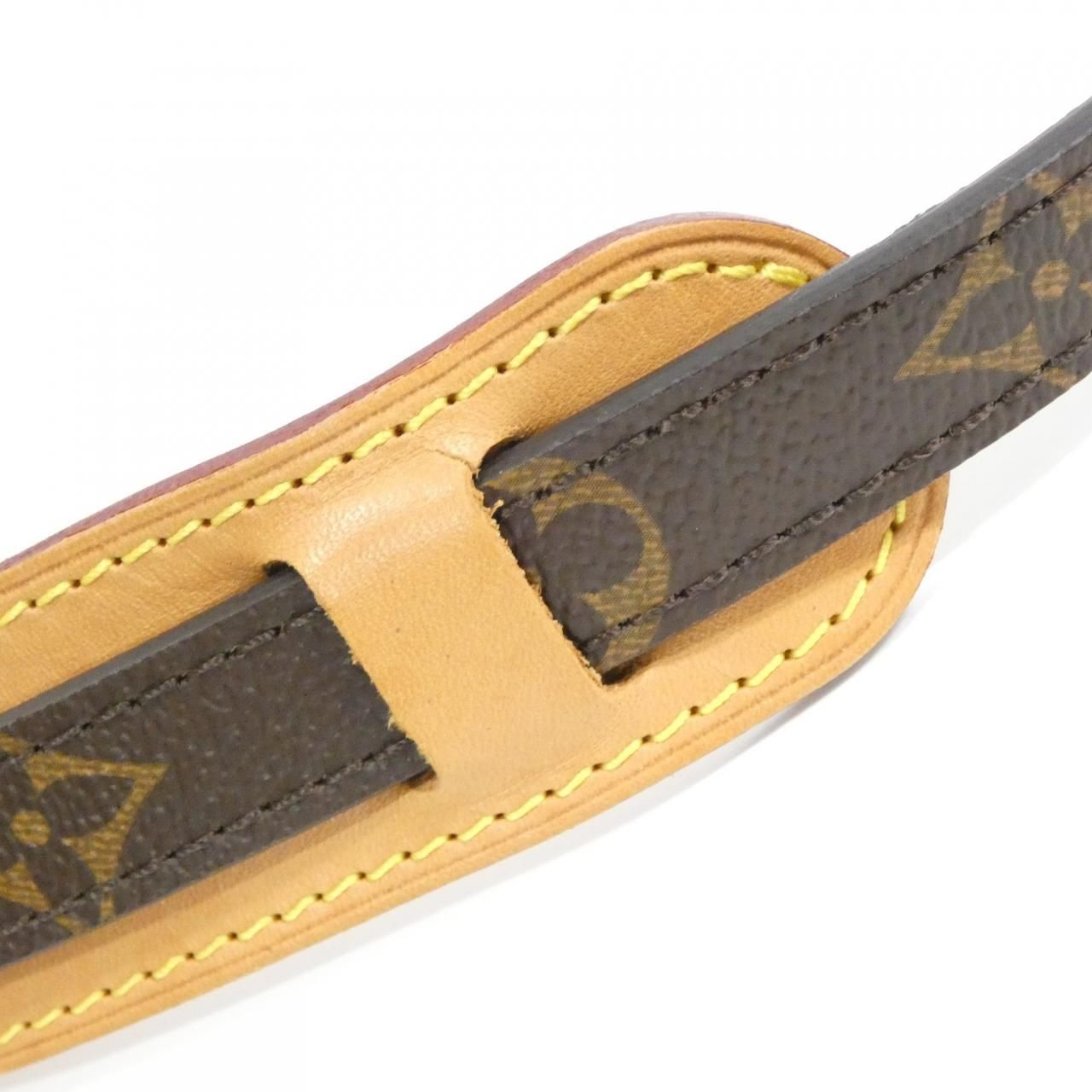 Louis Vuitton Monogram Amazon Shoulder Bag — view 7