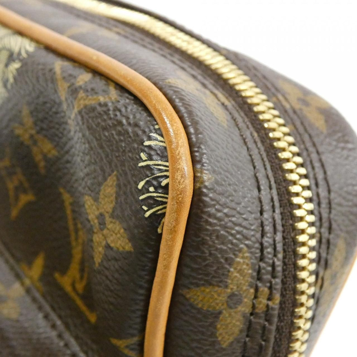 Louis Vuitton Monogram Amazon Shoulder Bag — view 5