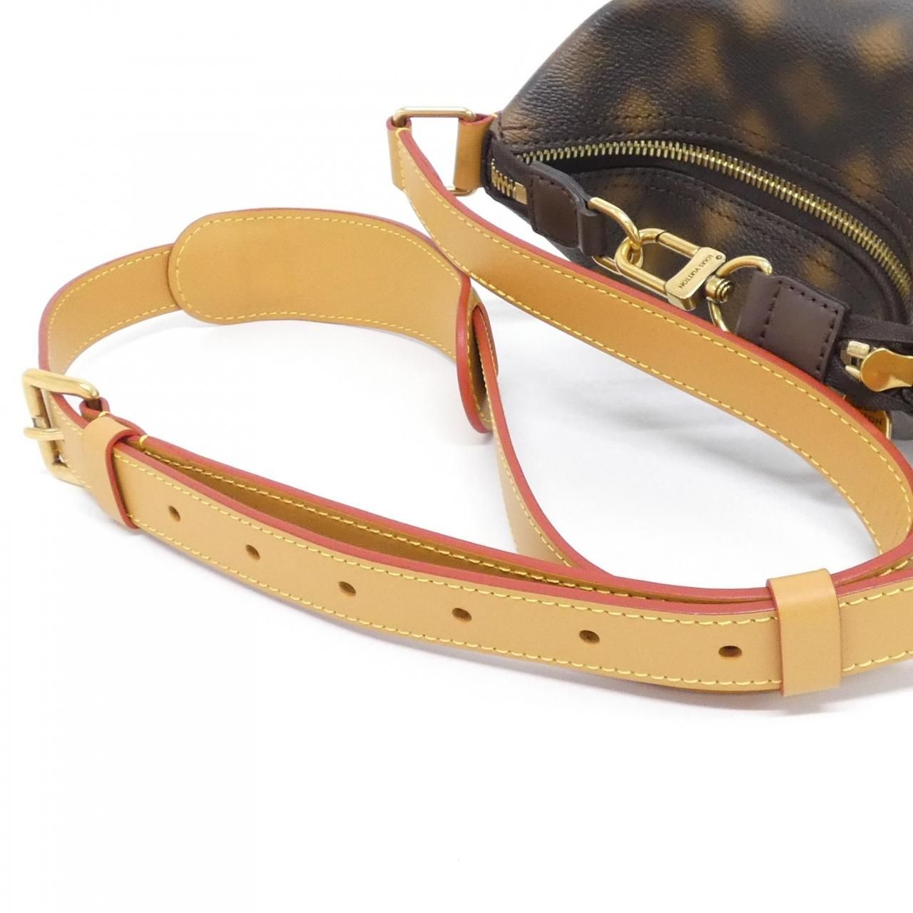 Louis Vuitton Disisknot Monogram Hobo Cruiser PM M Shoulder Bag — view 3