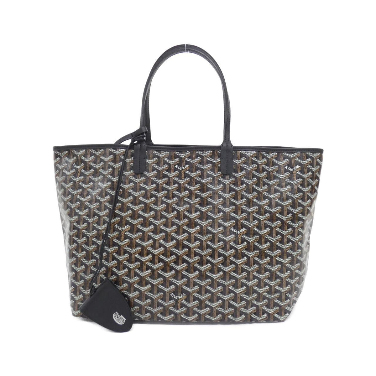 Goyard Saint Louis PM Ama Bag