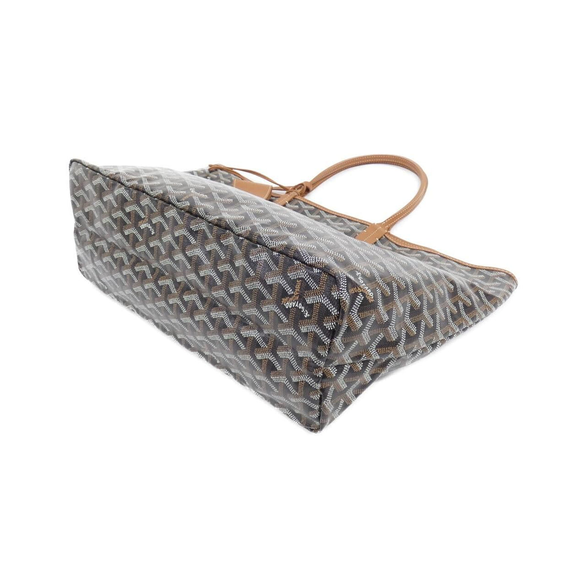 Goyard Saint Louis PM Ama Bag — view 2