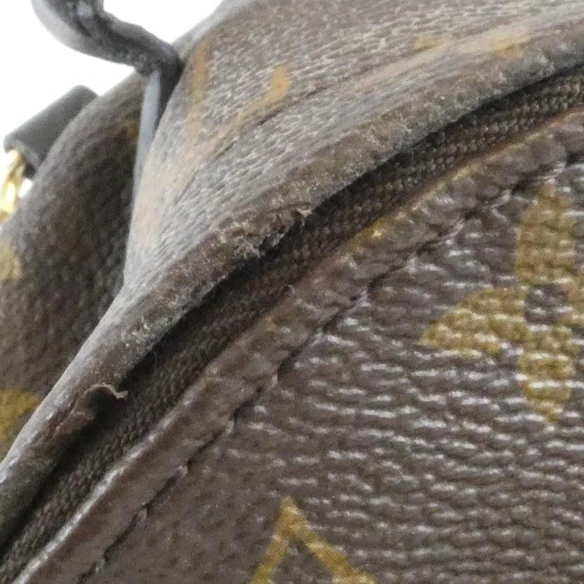 Louis Vuitton Monogram Palm Spring Backpack Mini — view 6