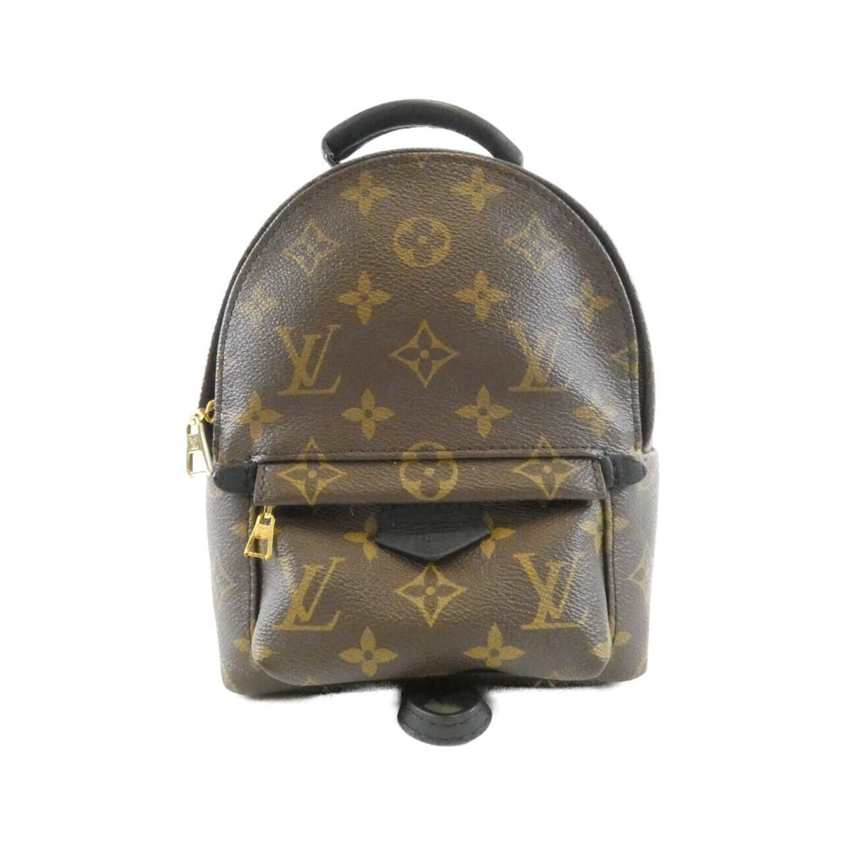 Louis Vuitton Monogram Palm Spring Backpack Mini