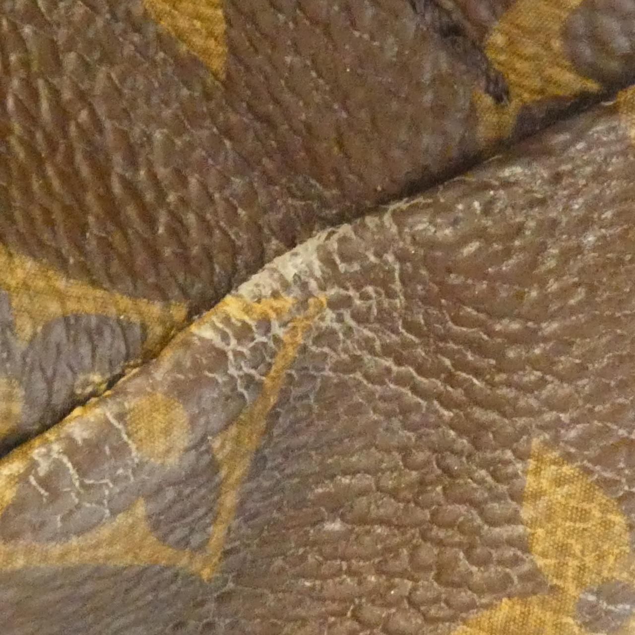 Louis Vuitton Monogram Palm Spring Backpack Mini — view 5