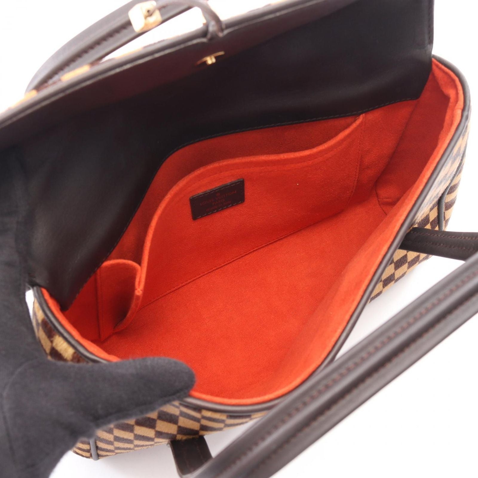 Louis Vuitton Handle Lion Damier Sauvage Leather Handbag — view 3