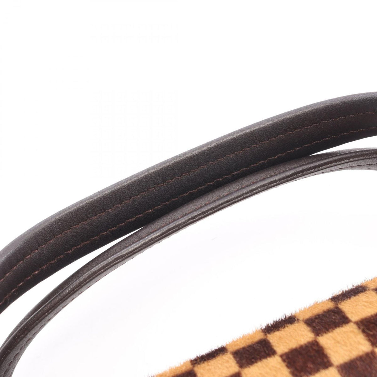 Louis Vuitton Handle Lion Damier Sauvage Leather Handbag — view 8