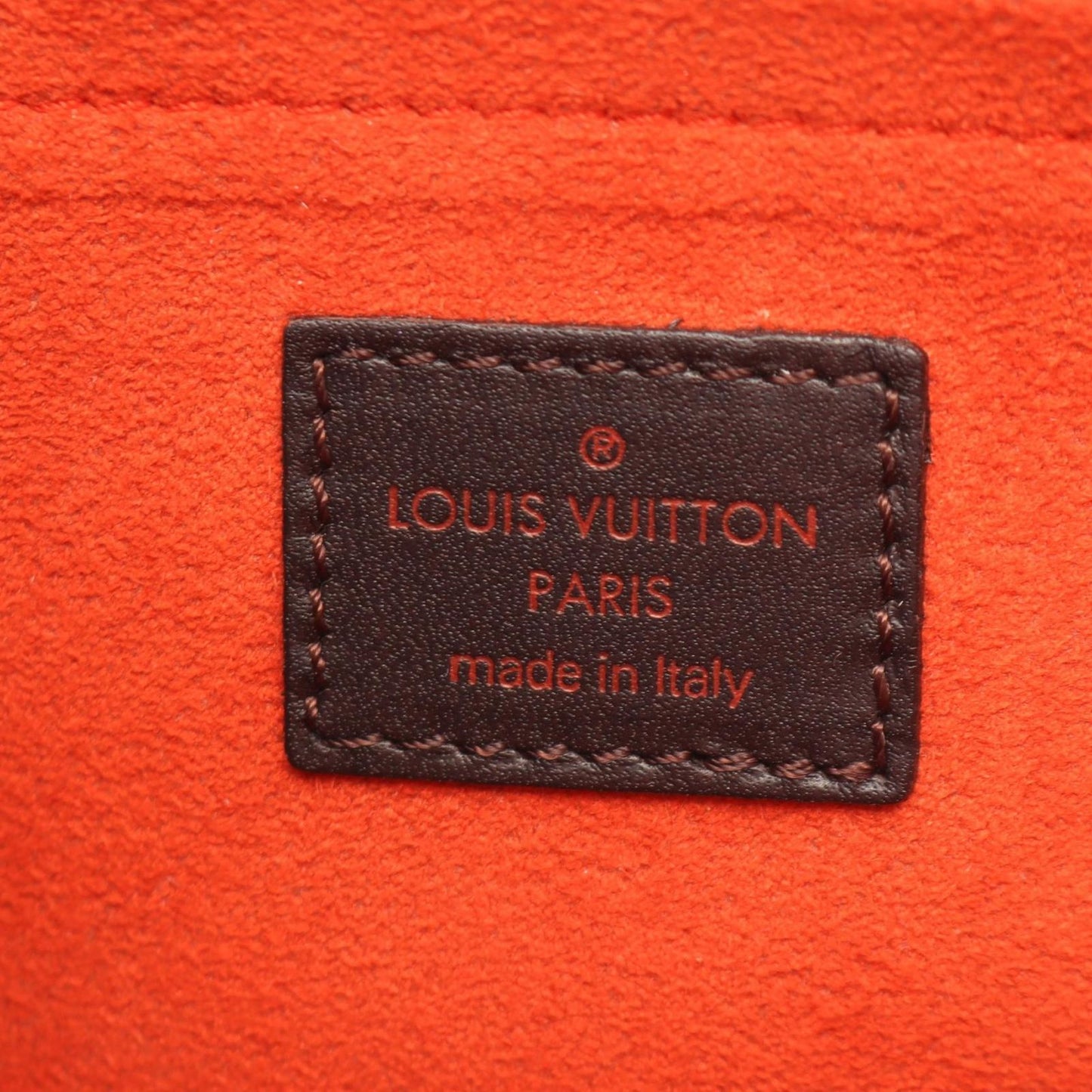 Louis Vuitton Handle Lion Damier Sauvage Leather Handbag — view 4