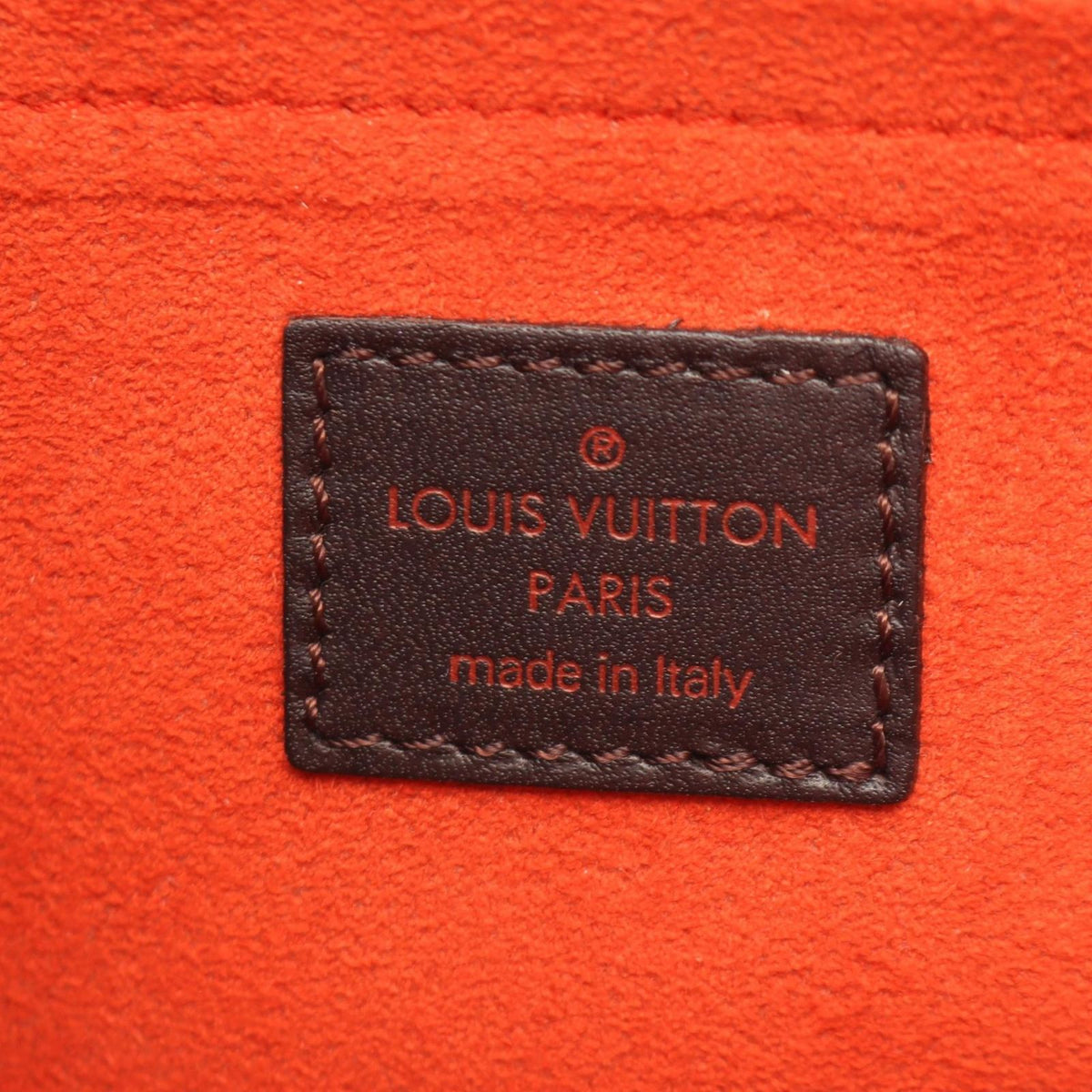 Louis Vuitton Handle Lion Damier Sauvage Leather Handbag — view 4