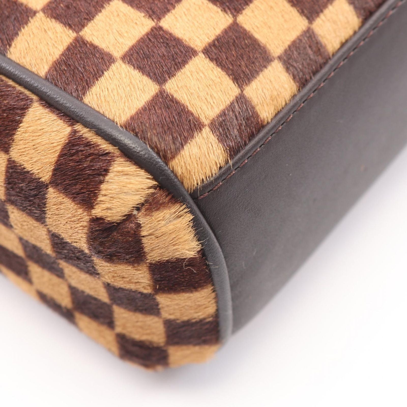 Louis Vuitton Handle Lion Damier Sauvage Leather Handbag — view 6