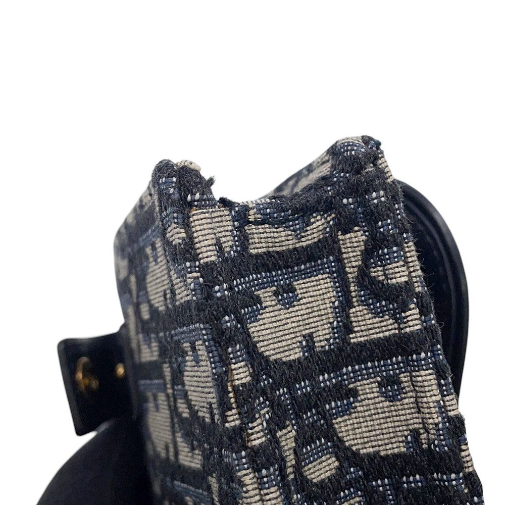 Dior Waist Bag Oblique Canvas — view 8