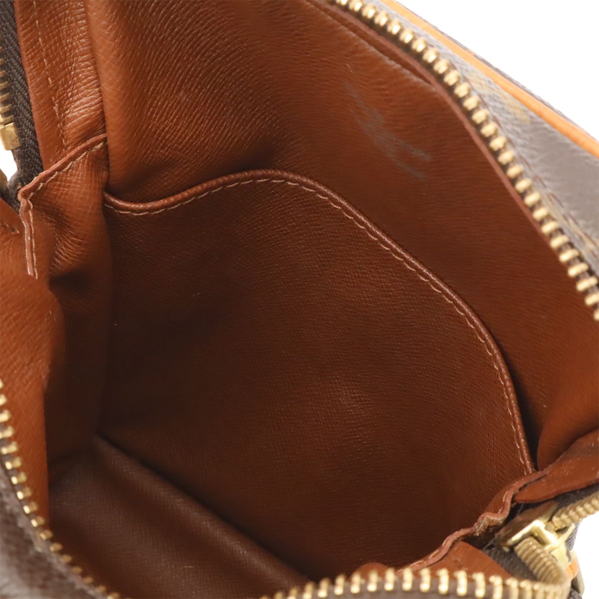 Louis Vuitton Monogram Amazon Shoulder Bag Pochette — view 7