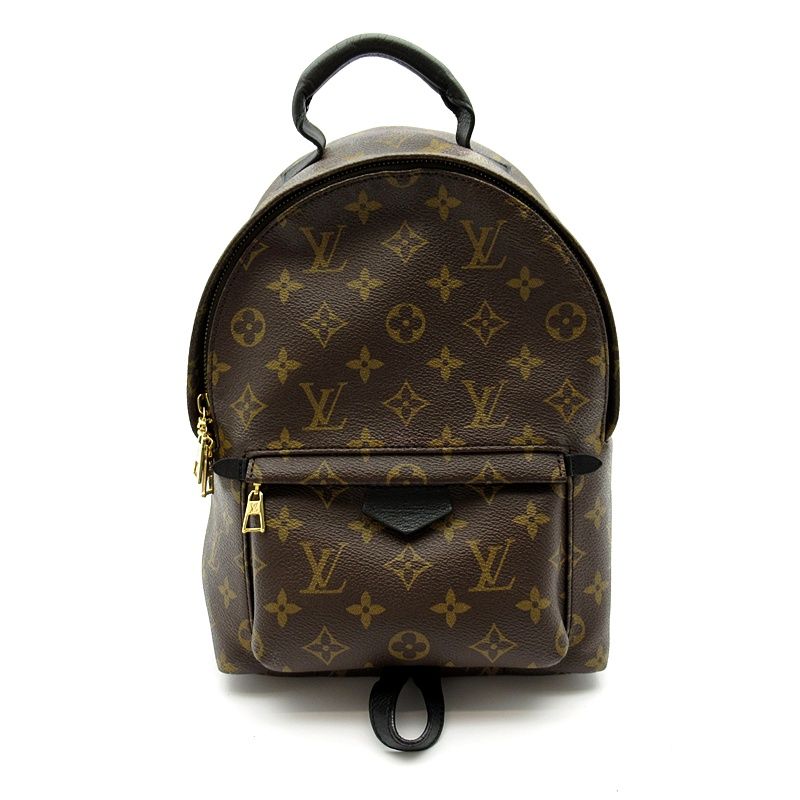 Louis Vuitton Palm Spring Backpack PM Monogram Brown