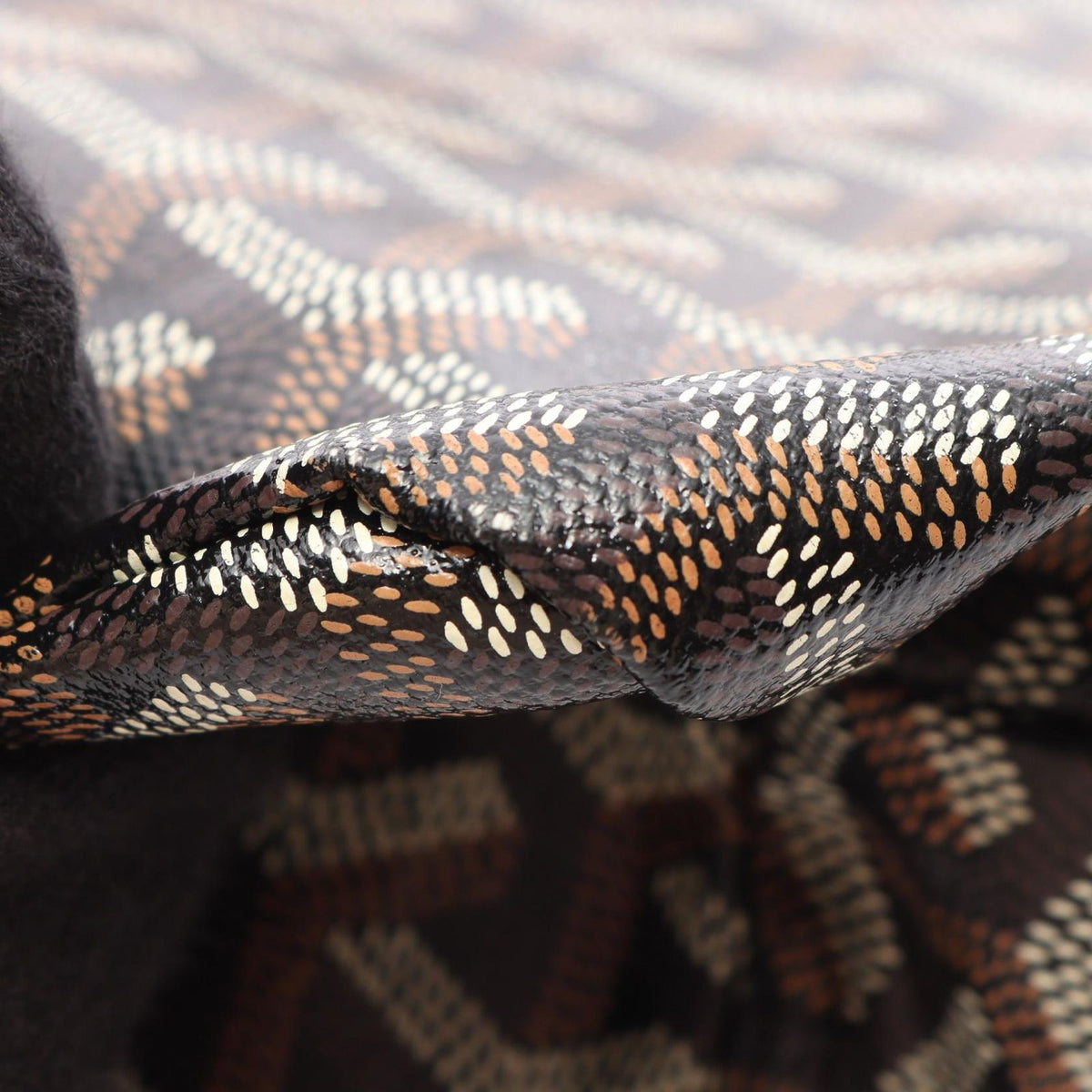 Goyard Tote Bag Saint Louis PM Black Brown White Canvas Leather — view 5