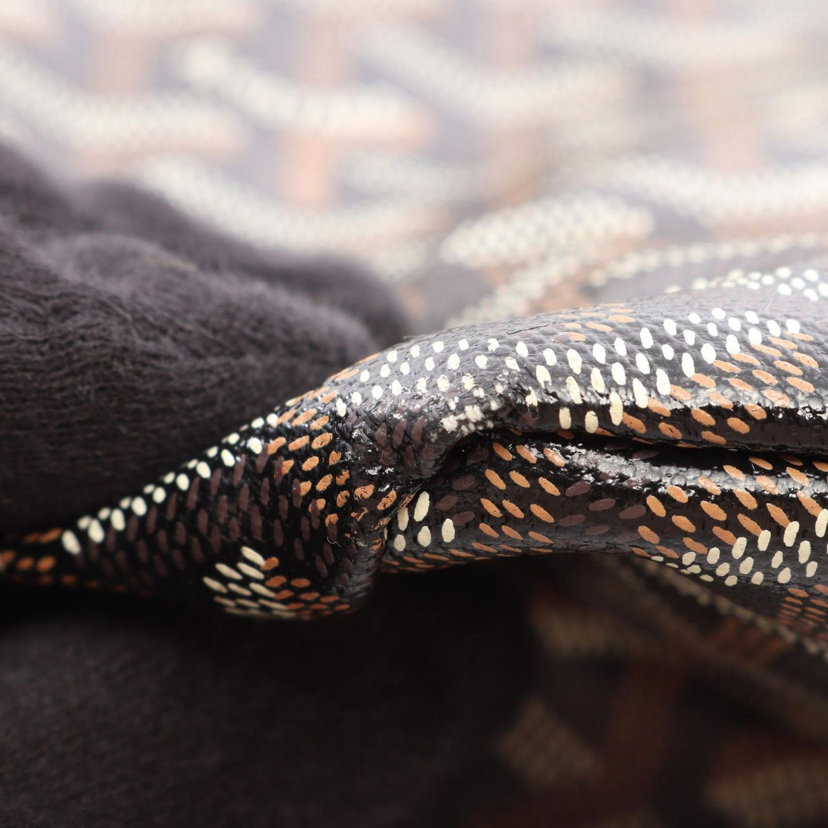 Goyard Tote Bag Saint Louis PM Black Brown White Canvas Leather — view 6