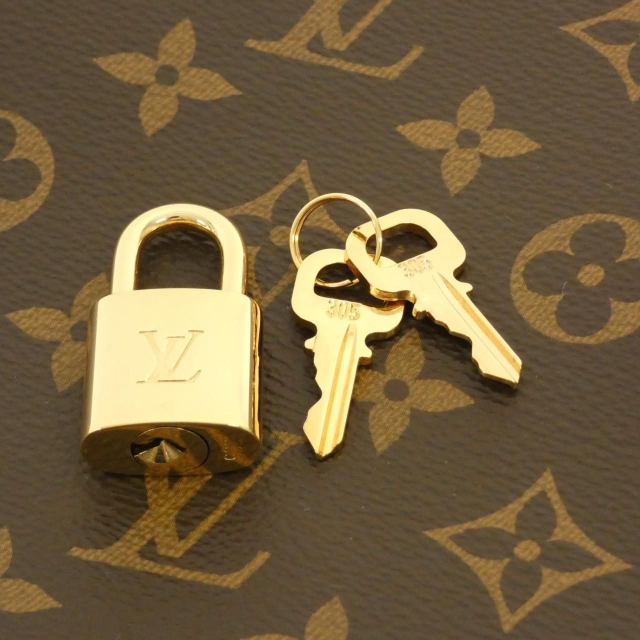 Louis Vuitton Monogram Grand Palais MM Bag — view 5