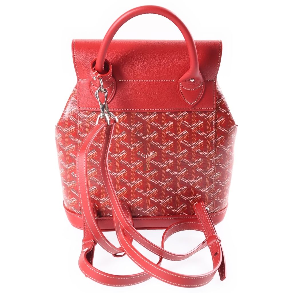 Goyard Alpine Mini Backpack Red Leather — view 2