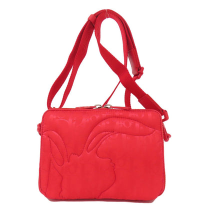 Dior Erl Collaboration Trotter Pattern Mirage Shoulder Bag Nylon