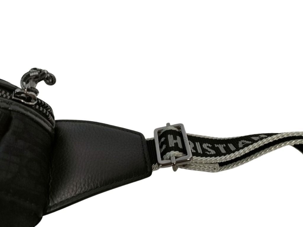 Dior Belt Bag Scarab Oblique Black Canvas Leather Silver — view 5
