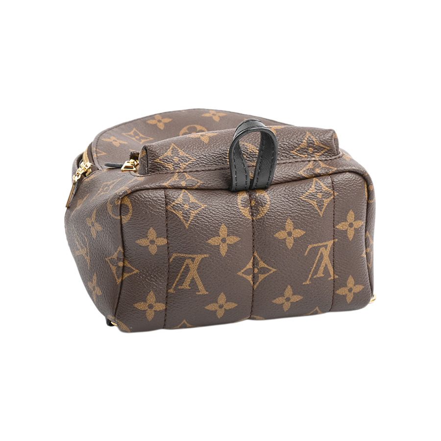 Louis Vuitton Backpack Palm Spring — view 5