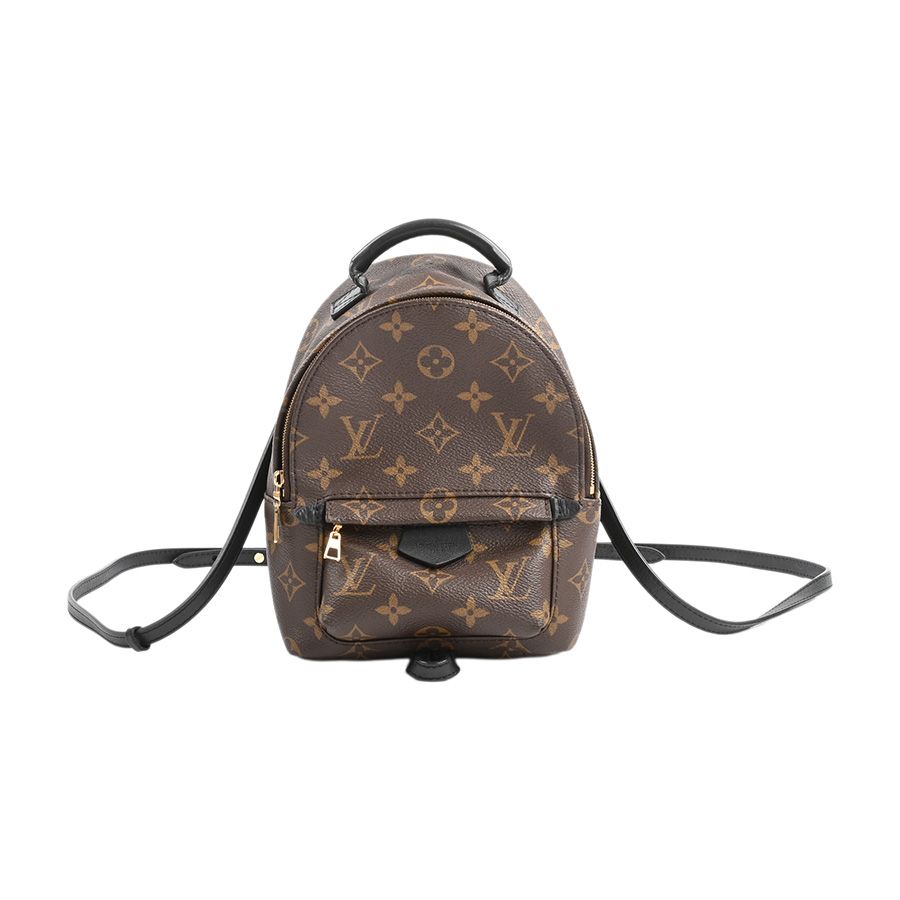 Louis Vuitton Backpack Palm Spring