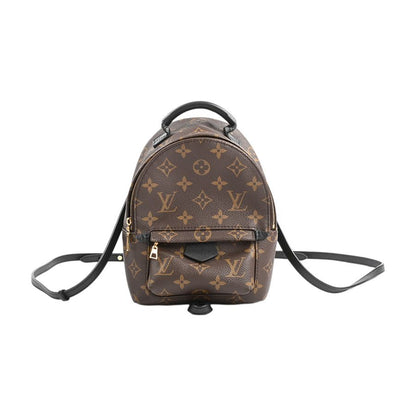 Louis Vuitton Backpack Palm Spring