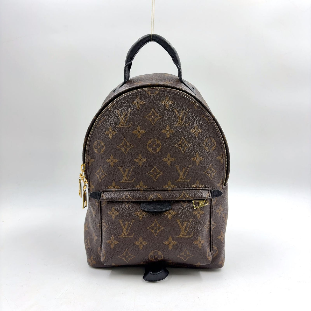 Louis Vuitton Palm Spring PM Monogram Leather
