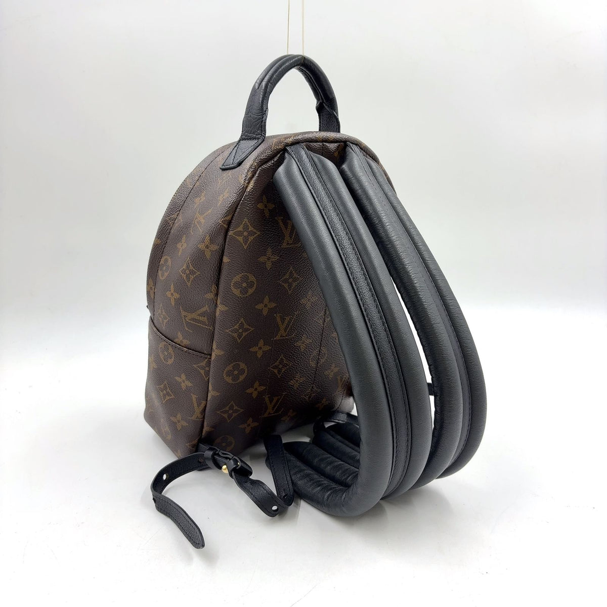 Louis Vuitton Palm Spring PM Monogram Leather — view 2
