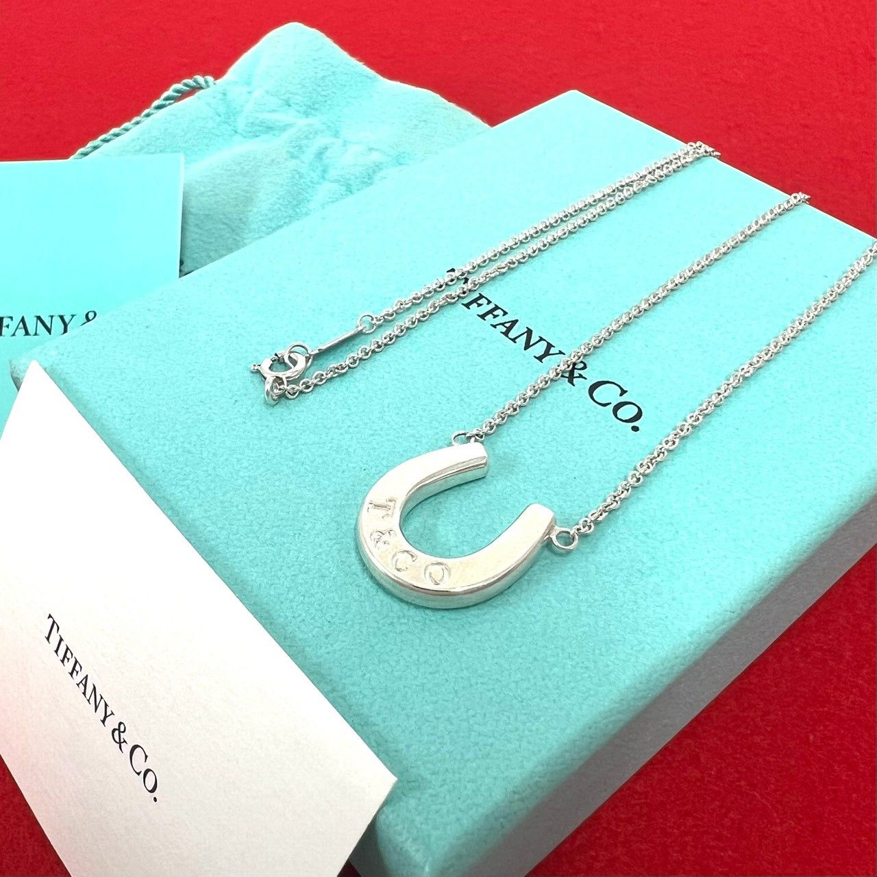 Tiffany & Co Vintage Horseshoe Necklace 925 Sterling Silver Pendant