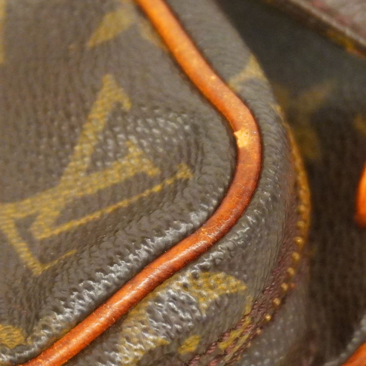 Louis Vuitton Shoulder Bag Monogram Mini Amazon Brown — view 8