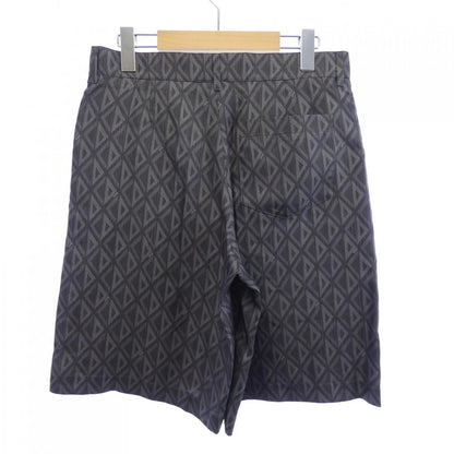 Dior CD Shorts Gray — view 2