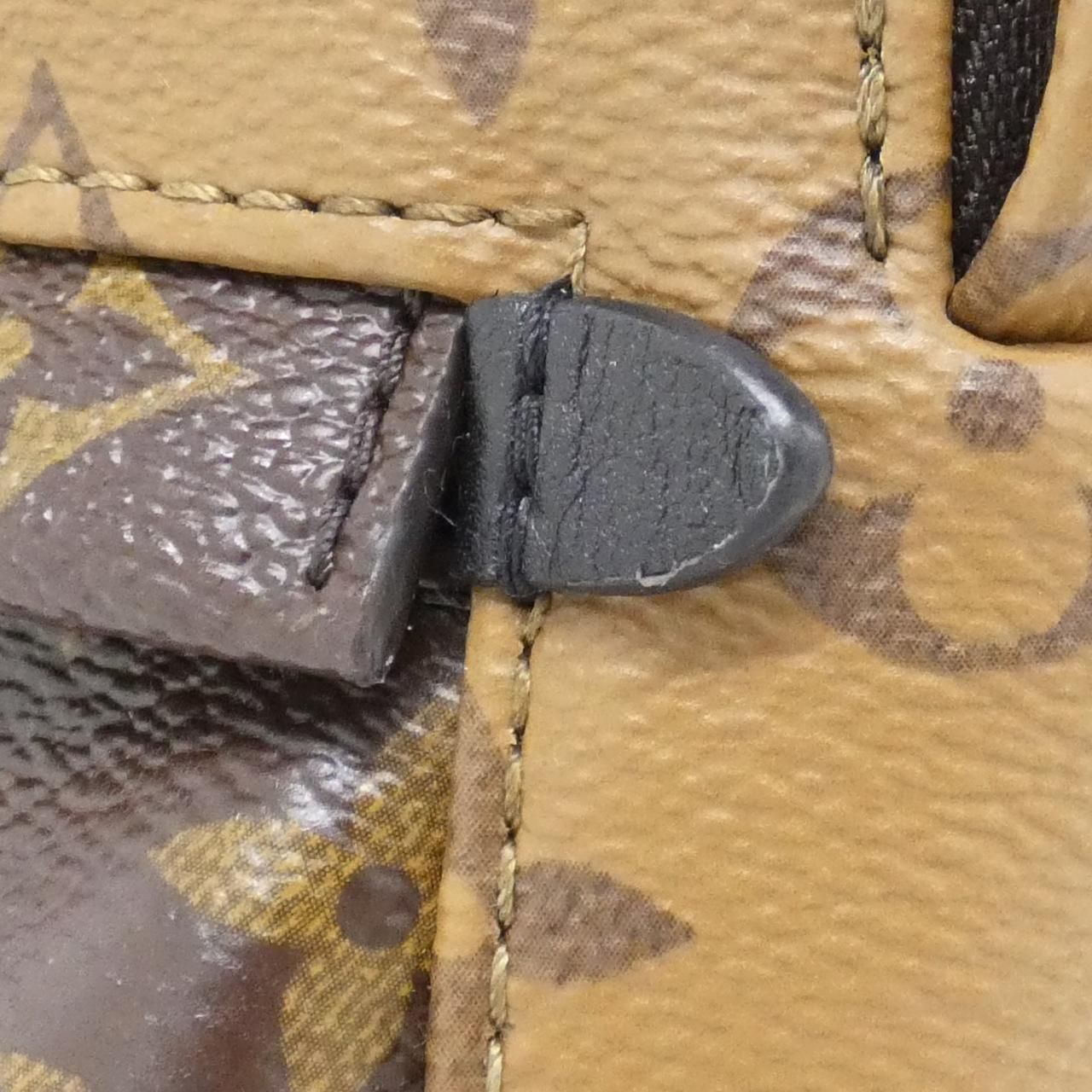 Louis Vuitton Monogram Reverse Palm Spring Backpack — view 4