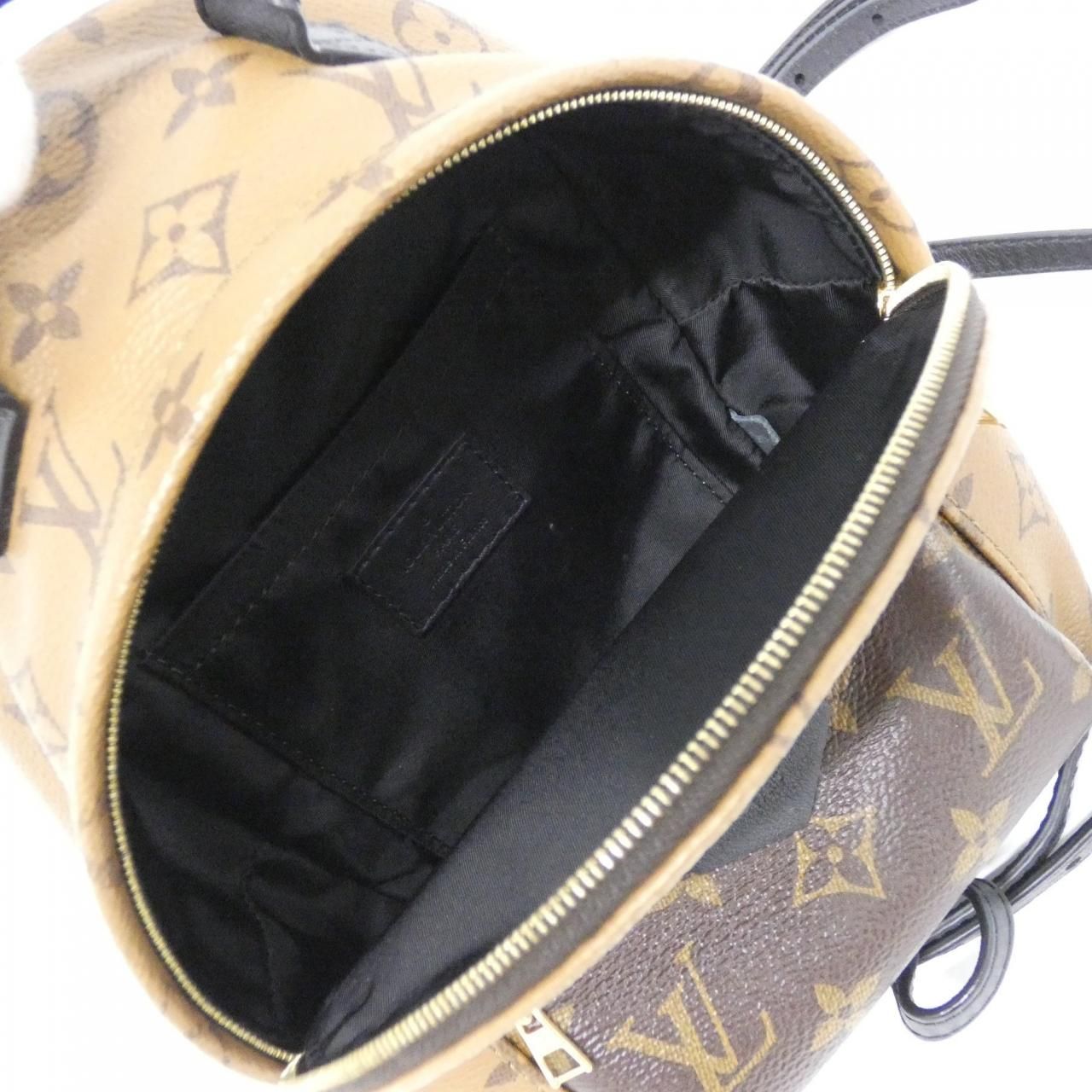 Louis Vuitton Monogram Reverse Palm Spring Backpack — view 8