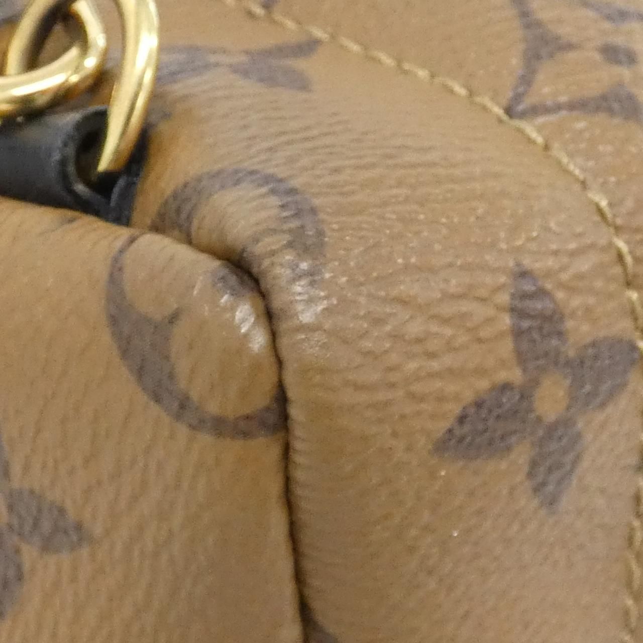 Louis Vuitton Monogram Reverse Palm Spring Backpack — view 3