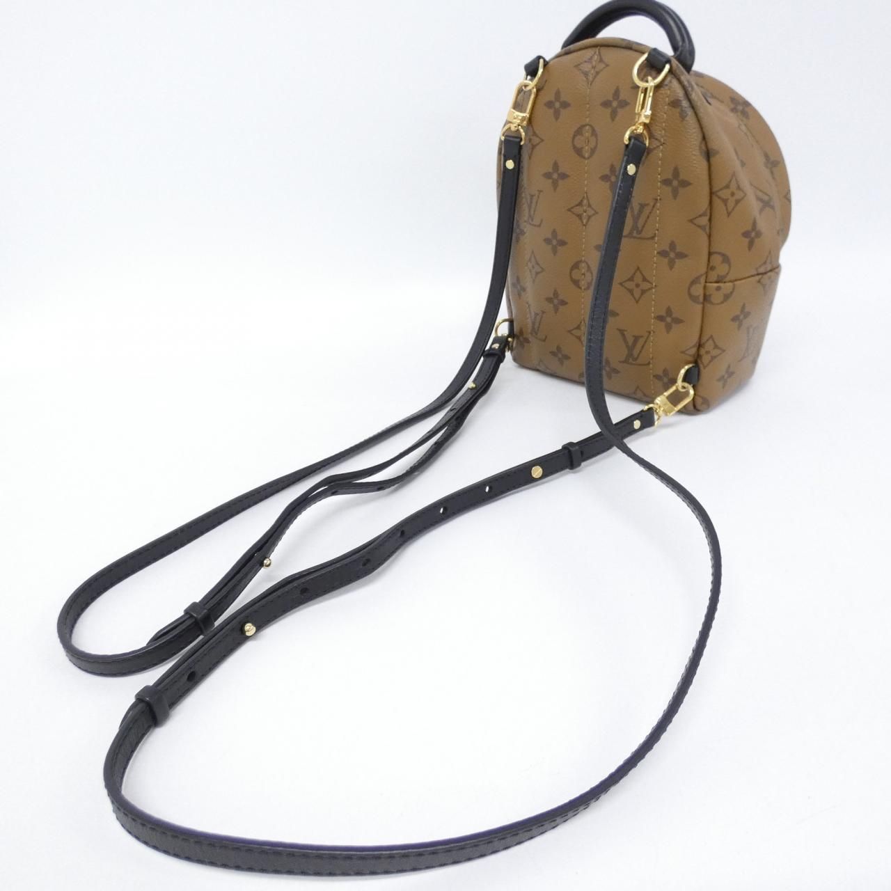Louis Vuitton Monogram Reverse Palm Spring Backpack — view 7
